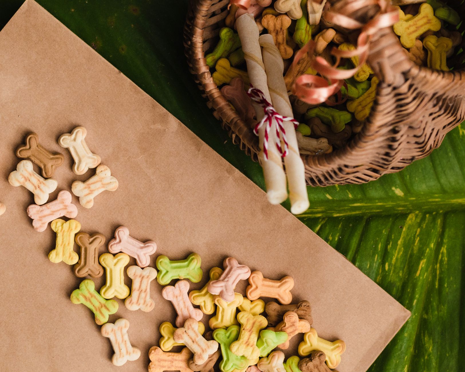 Dangerous Foods for Dogs: A Guide to Toxic Ingredients Pet Owners Should Avoid 1 Dangerous Foods for Dogs: A Guide to Toxic Ingredients Pet Owners Should Avoid
