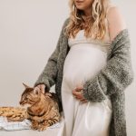 How Long Is A Cat Pregnant? 3 How Long Is A Cat Pregnant?