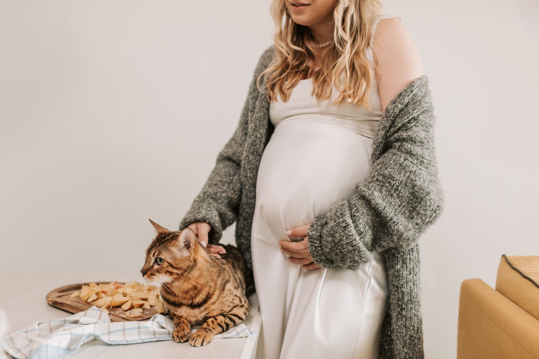 How Long Is A Cat Pregnant? 1 How Long Is A Cat Pregnant?