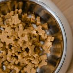 Safe Human Foods for Dogs: Healthy Options and What Owners Should Know 3 Safe Human Foods for Dogs: Healthy Options and What Owners Should Know