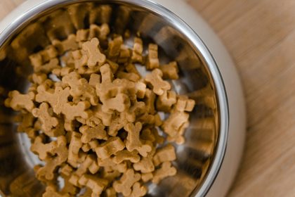 Safe Human Foods for Dogs: Healthy Options and What Owners Should Know