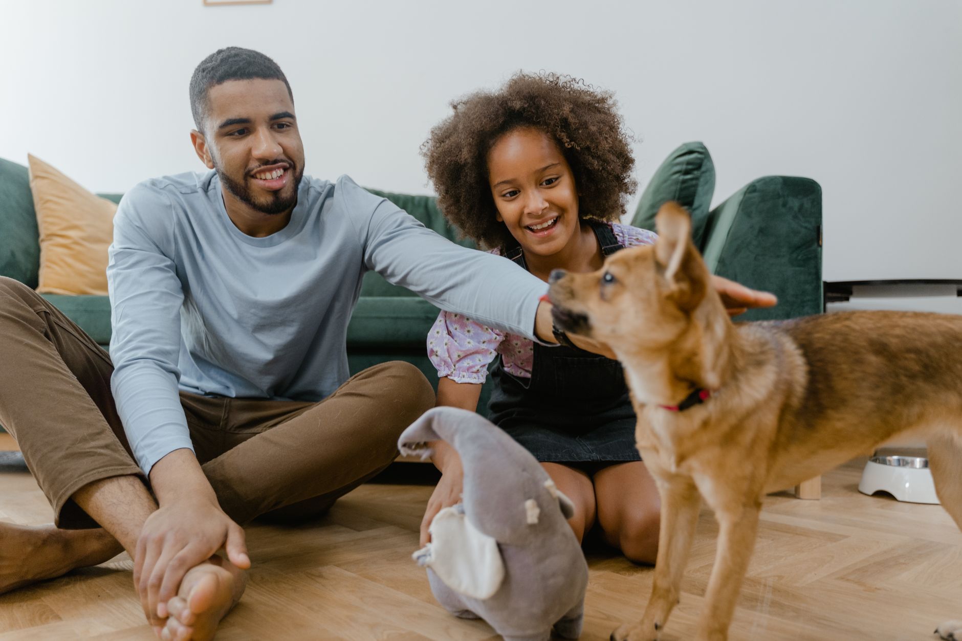 How to Choose the Right Pet for Your Lifestyle and Home 1 How to Choose the Right Pet for Your Lifestyle and Home