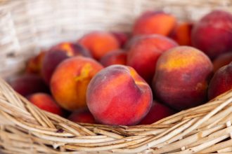 Can Dogs Eat Peaches? What Owners Need to Know Before Sharing This Fruit