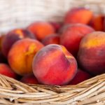 Can Dogs Eat Peaches? What Owners Should Know Before Sharing This Fruit 3 Can Dogs Eat Peaches? What Owners Should Know Before Sharing This Fruit