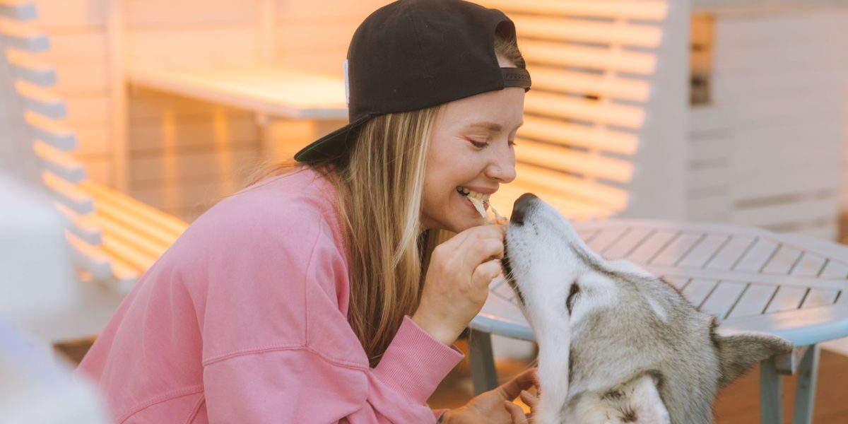 A Guide to Safe Human Foods for Dogs: What They Can Eat and What to Avoid