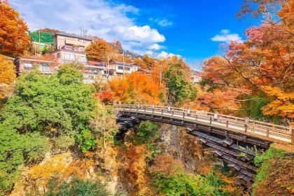 A Side View of Saruhashi Bridge During Autumn