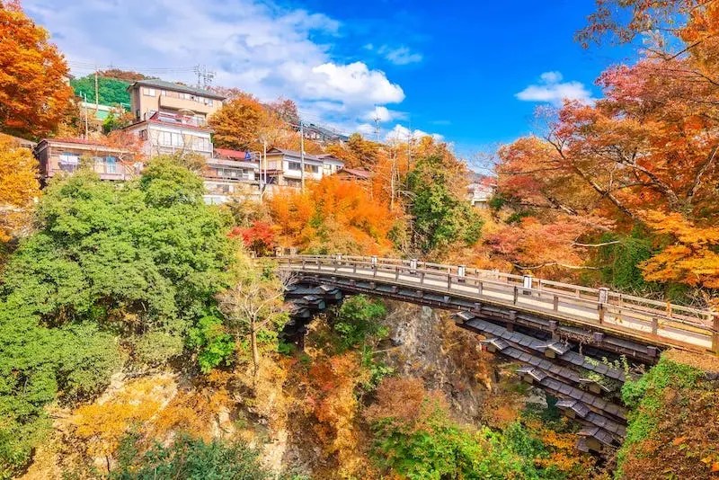 A Side View of Saruhashi Bridge During Autumn