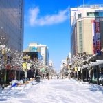 Jelajahi Kota Asahikawa, Sisi Hokkaido yang Sering Terlewatkan 14 Asahikawa Heiwa dori Shopping Street