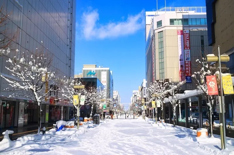 Asahikawa Heiwa dori Shopping Street