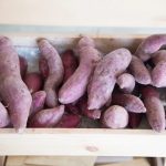 Cicipi Meibutsu: Menjelajahi Kuliner Lokal Jepang 4 Kawagoes Sweet Potato Meibutsu
