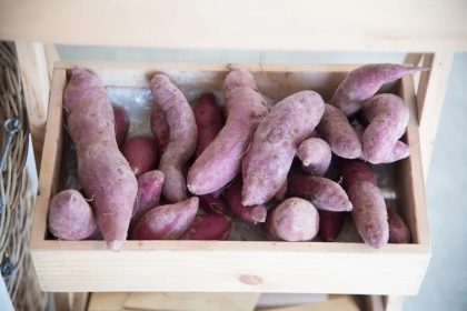 Cicipi Meibutsu: Menjelajahi Kuliner Lokal Jepang 72 Kawagoes Sweet Potato Meibutsu