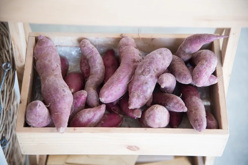 Kawagoes Sweet Potato Meibutsu