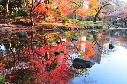 Pesona Koishikawa Korakuen, Taman Tenang di Jantung Tokyo 76 Koishikawa Korakuen During Autumn