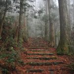 Perjalanan Tanpa Akhir | Alasan Saya Butuh Lebih Banyak Waktu Hidup untuk Jepang 8 The Kumano Kodo is One Part of the Endless Journey