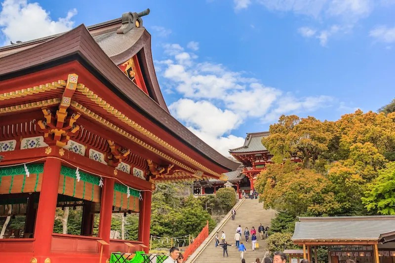 Panduan Wisata Kamakura: Hal Menarik dan Itinerary Lengkap 5 Tsurugaoka Hachimangu in Kamakura