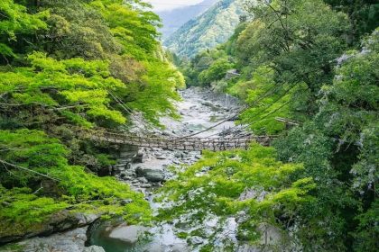 he Iya Valleys Kazurabashi From Afar