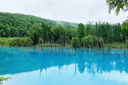 Menengok Aoi Ike: "Kecelakaan Kecil" di Hokkaido yang Jadi Kolam Biru Buatan Manusia 65 header 640x 63