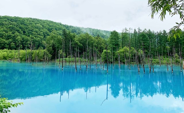 Menengok Aoi Ike: "Kecelakaan Kecil" di Hokkaido yang Jadi Kolam Biru Buatan Manusia 11 header 640x 63